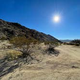 Review photo of Blair Valley Primitive Campground — Anza-Borrego Desert State Park by Edy K., February 11, 2021