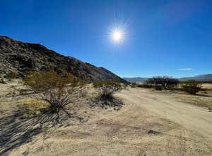 Blair Valley Primitive Campground — Anza-Borrego Desert State Park