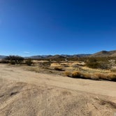Review photo of Blair Valley Primitive Campground — Anza-Borrego Desert State Park by Edy K., February 11, 2021