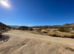 Blair Valley Primitive Campground — Anza-Borrego Desert State Park