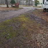 Review photo of Thousand Trails The Oaks at Point South by JORGE , February 11, 2021