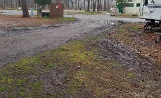 JORGE's photo of rv camping at Thousand Trails The Oaks at Point South near Ehrhardt, SC