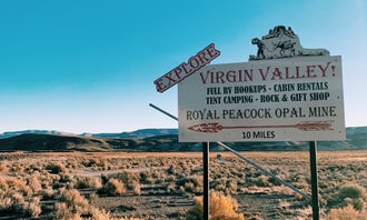 Virgin Valley Campground