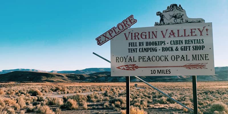 Camper submitted image from Virgin Valley Campground