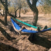 Review photo of Catalina State Park Campground by Carlyne F., February 11, 2021