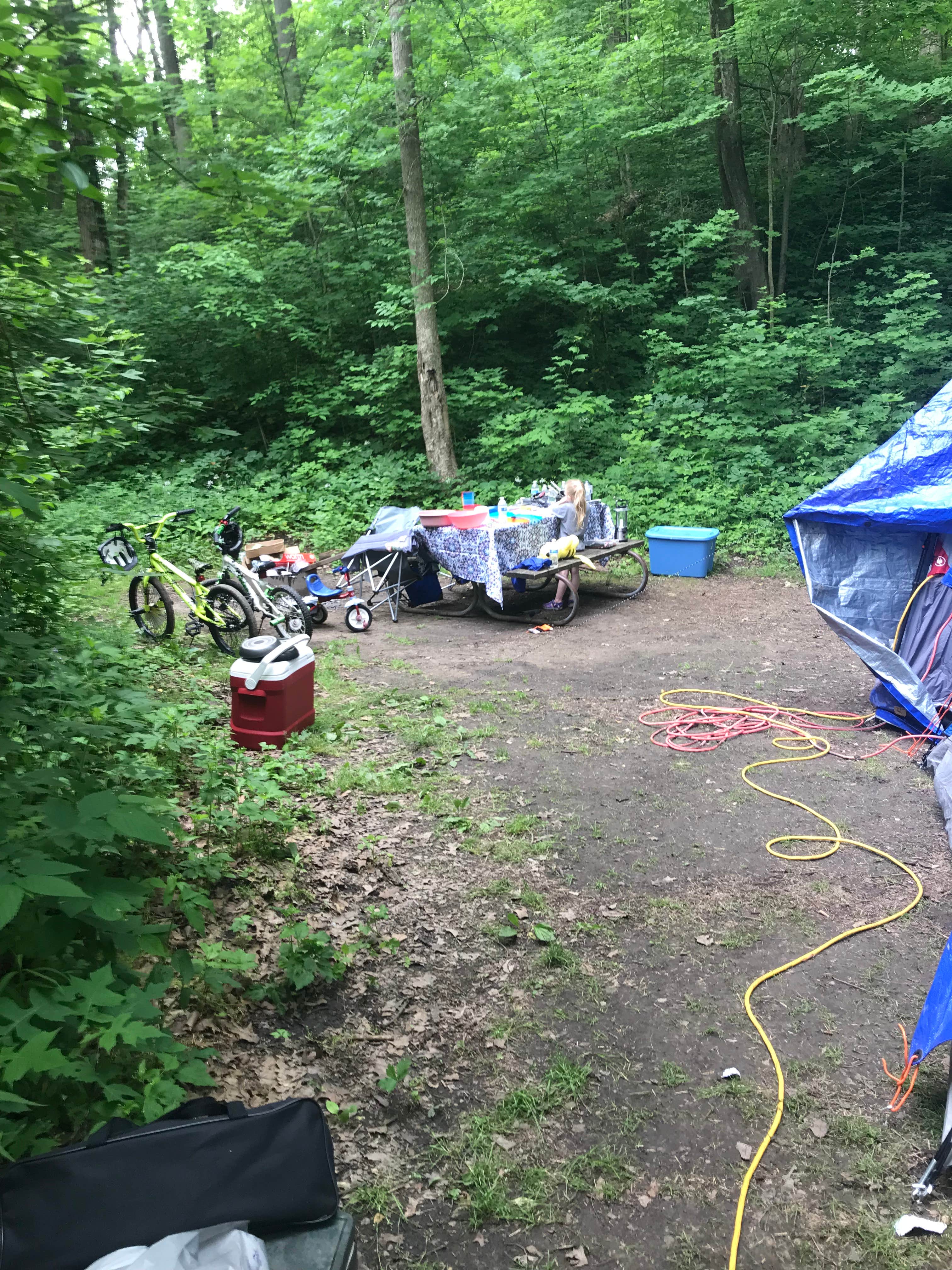 Lisa C.'s photo at Hueston Woods State Park Campground near Richmond, IN