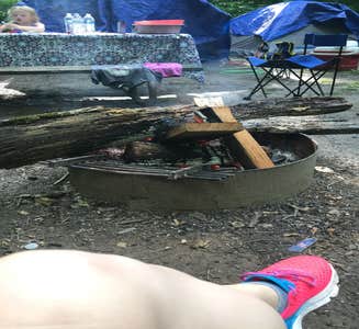 Camper-submitted photo from Hueston Woods State Park Campground