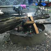 Review photo of Hueston Woods State Park Campground by Lisa C., May 29, 2018