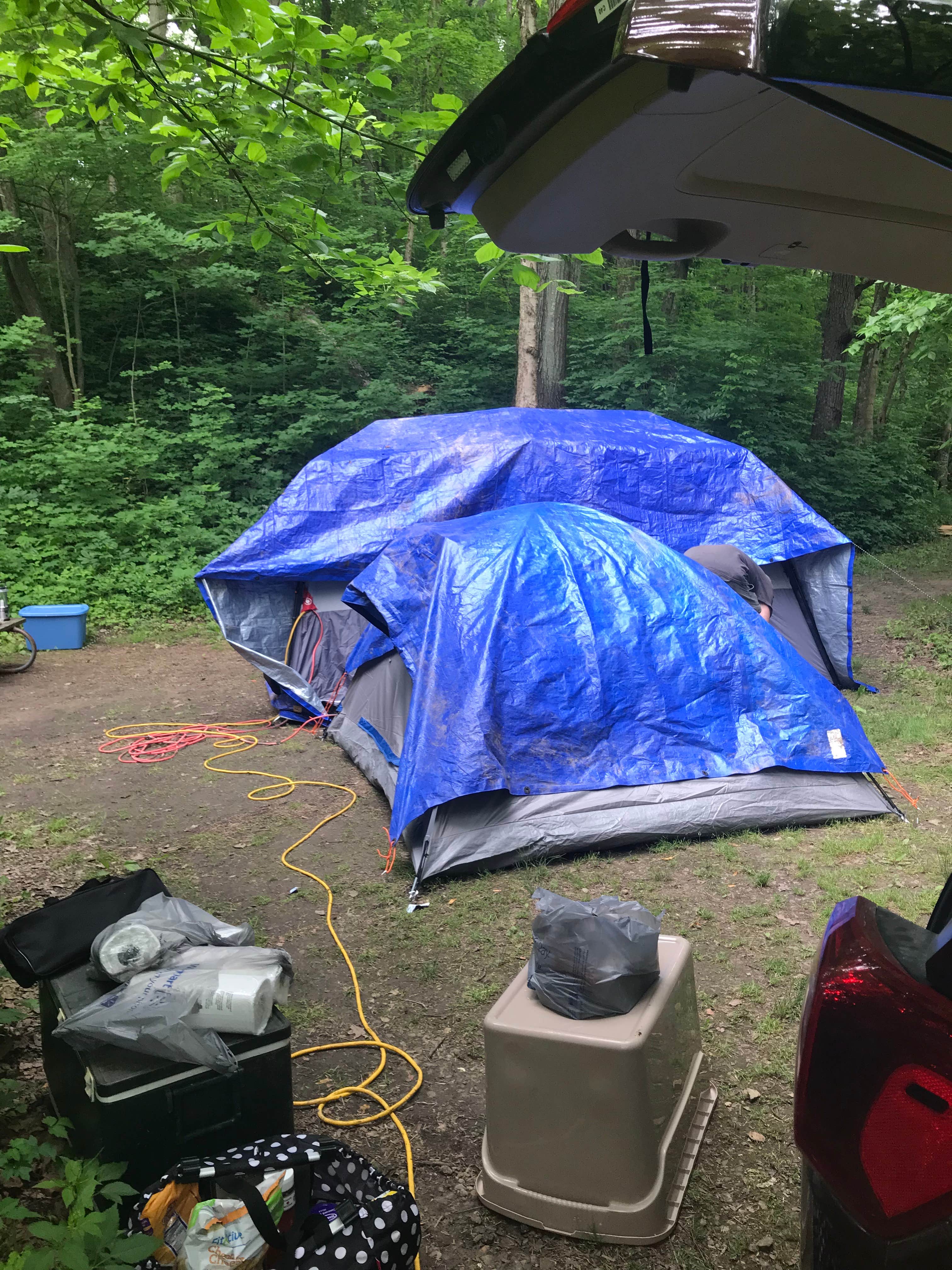 Lisa C.'s photo at Hueston Woods State Park Campground near Centerville, IN