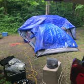 Review photo of Hueston Woods State Park Campground by Lisa C., May 29, 2018