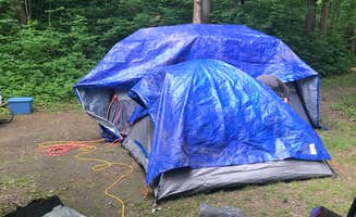 Lisa C.'s photo at Hueston Woods State Park Campground near Richmond, IN