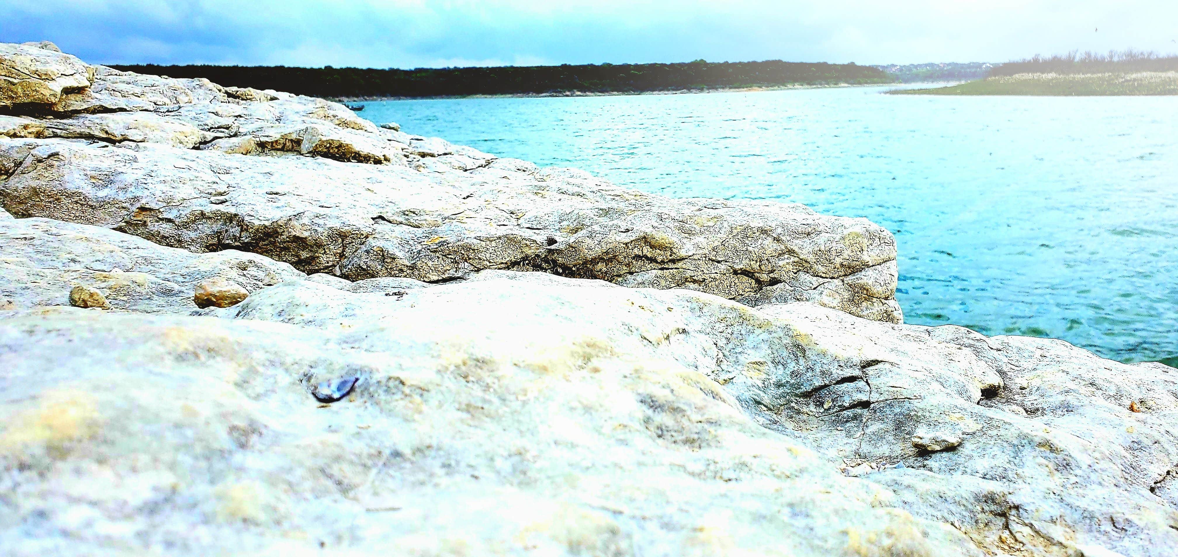 Camper-submitted photo at Jim Hogg - Lake Georgetown near Georgetown Lake