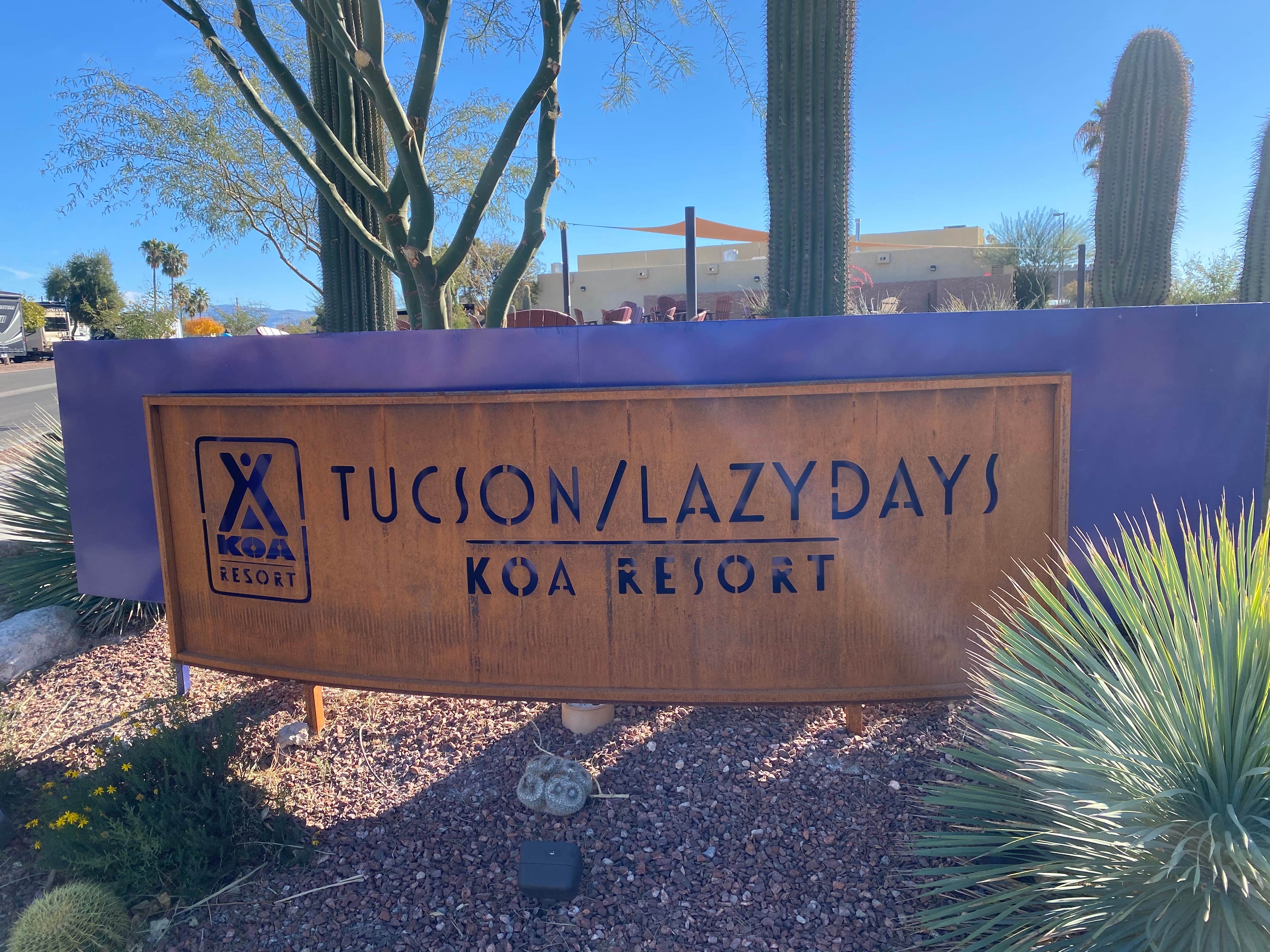 Camper submitted image from Tucson - Lazydays KOA - 5