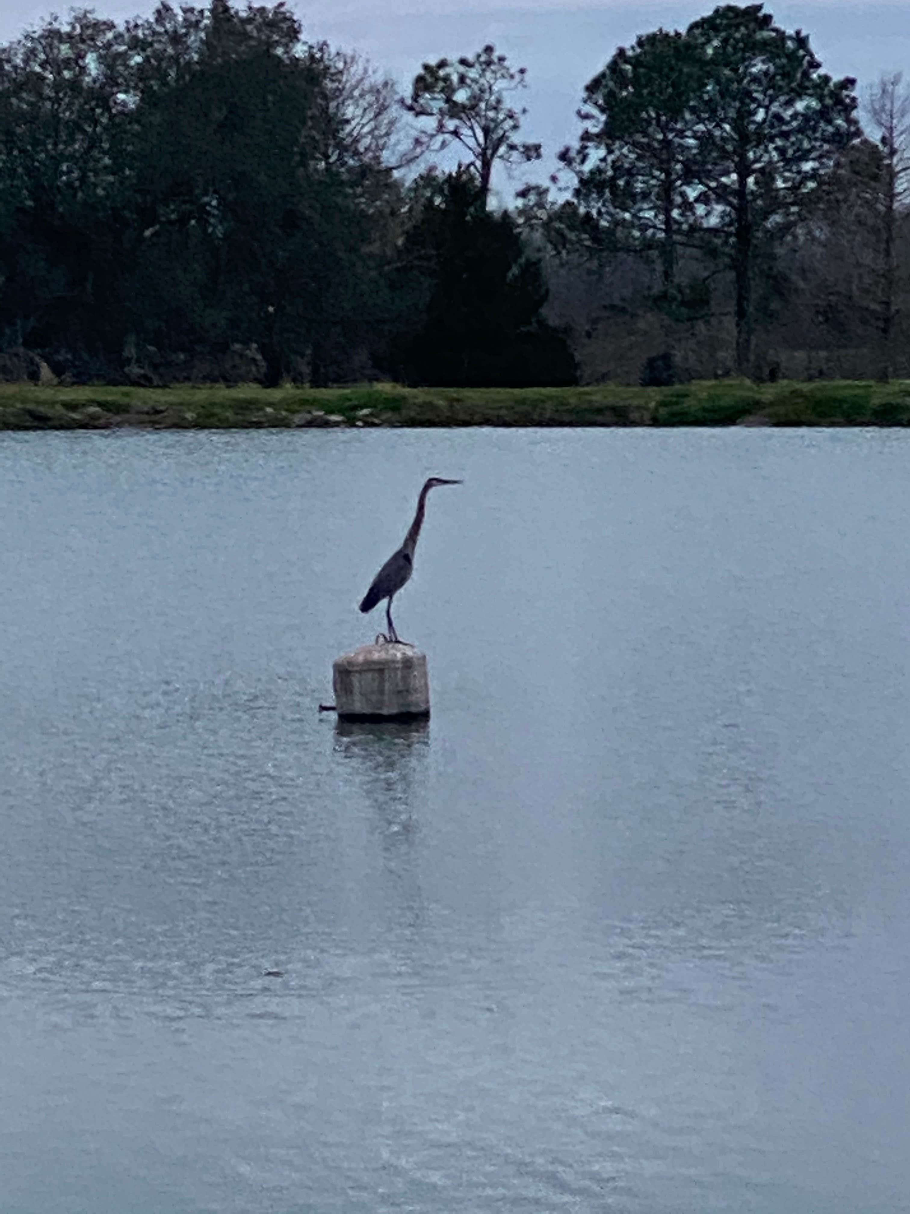 Camper-submitted photo at Poche's RV Park & Fish-N-Camp near Baton Rouge, LA