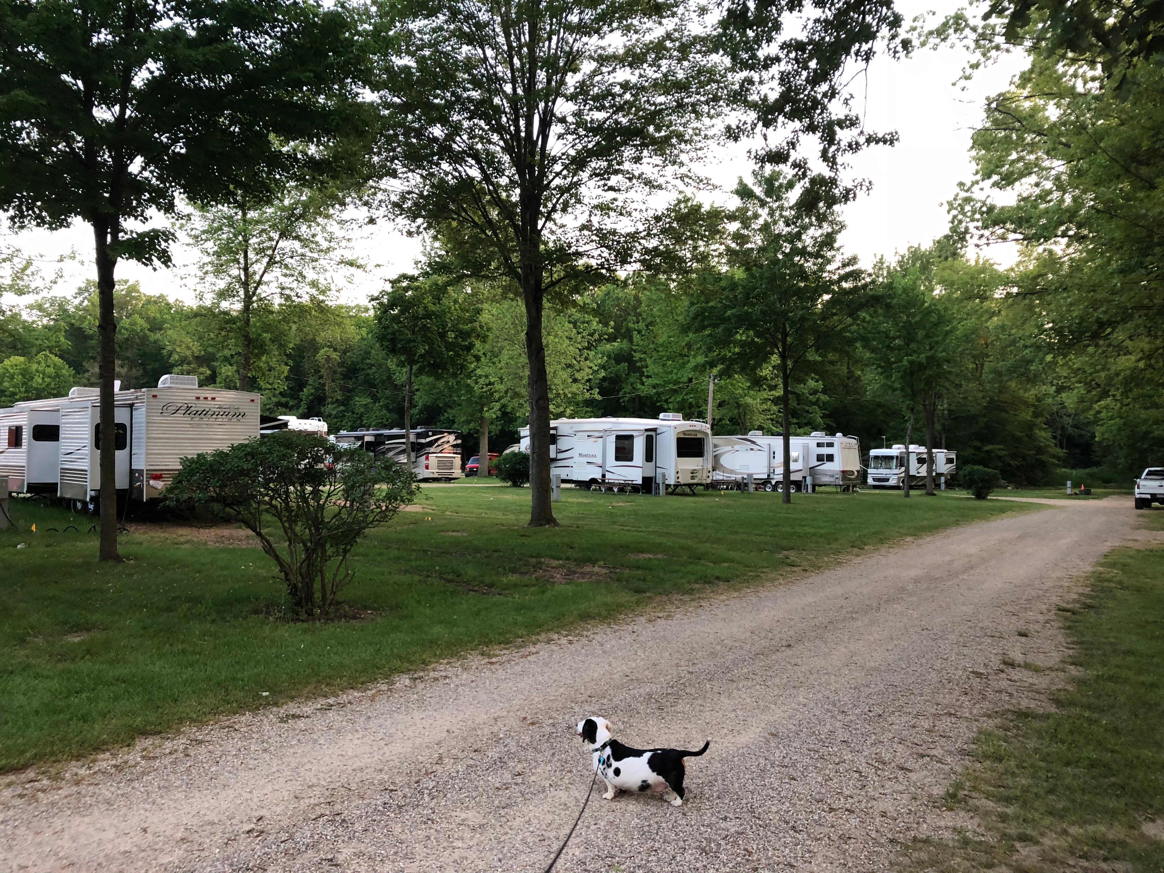 Camper submitted image from Spaulding Lake Campground - 3