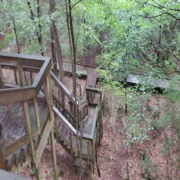 Bogue Chitto State Park Campground