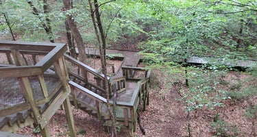 Bogue Chitto State Park