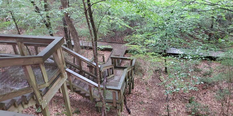 Camper submitted image from Bogue Chitto State Park Campground