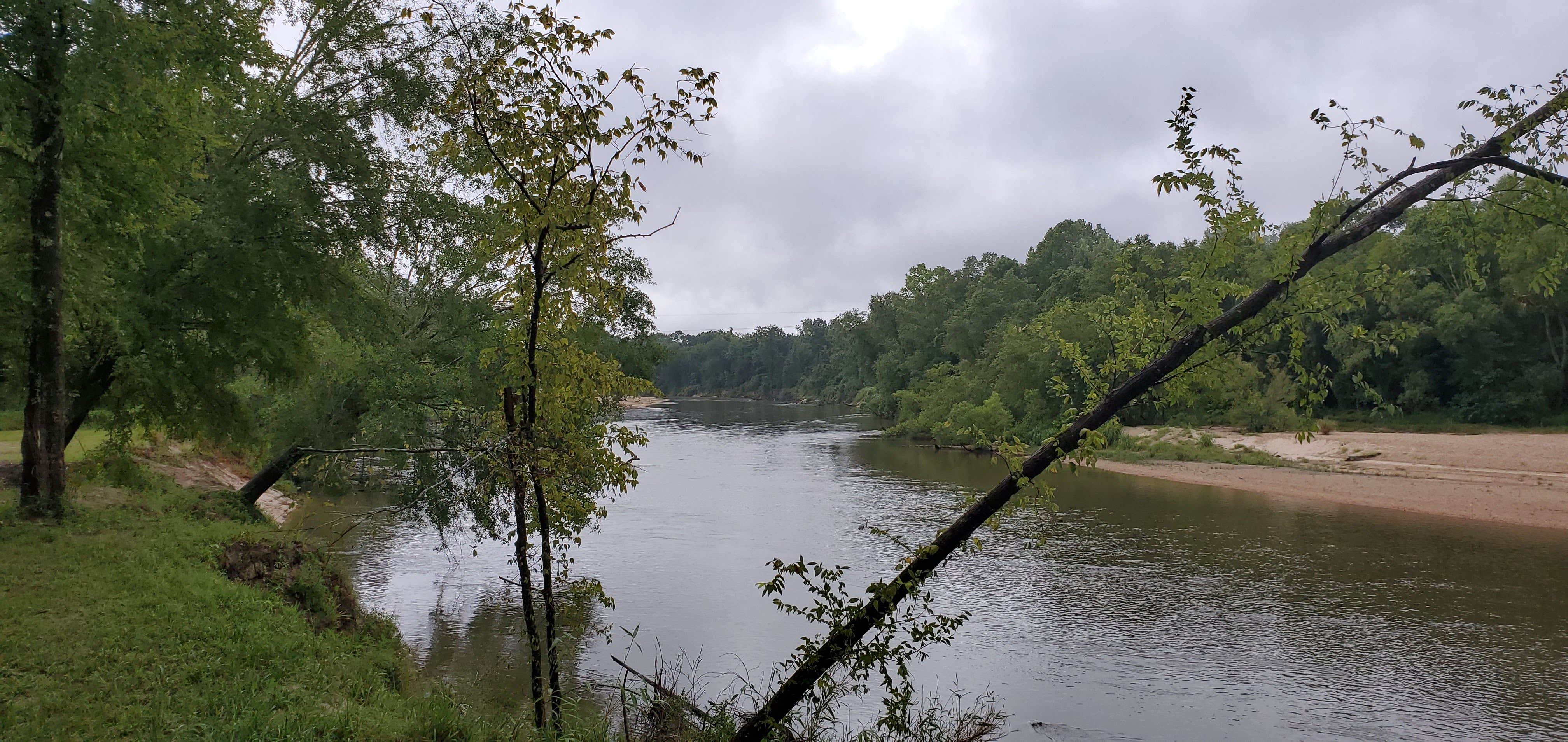 Camper-submitted photo at Bogue Chitto State Park Campground in Louisiana