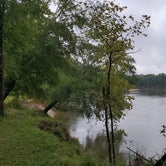 Review photo of Bogue Chitto State Park Campground by Mocsaw $., February 12, 2021