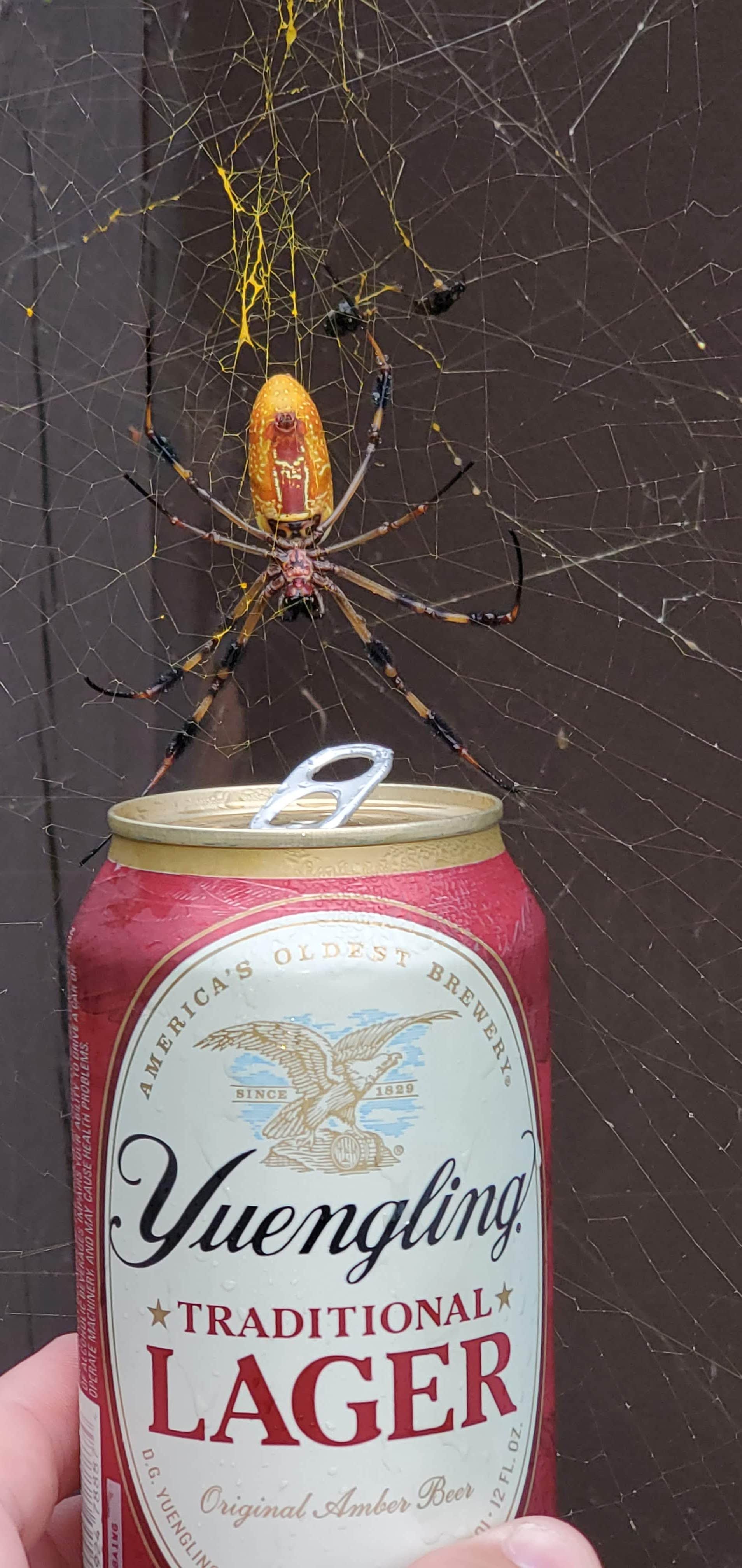 Camper-submitted photo at Bogue Chitto State Park Campground in Louisiana