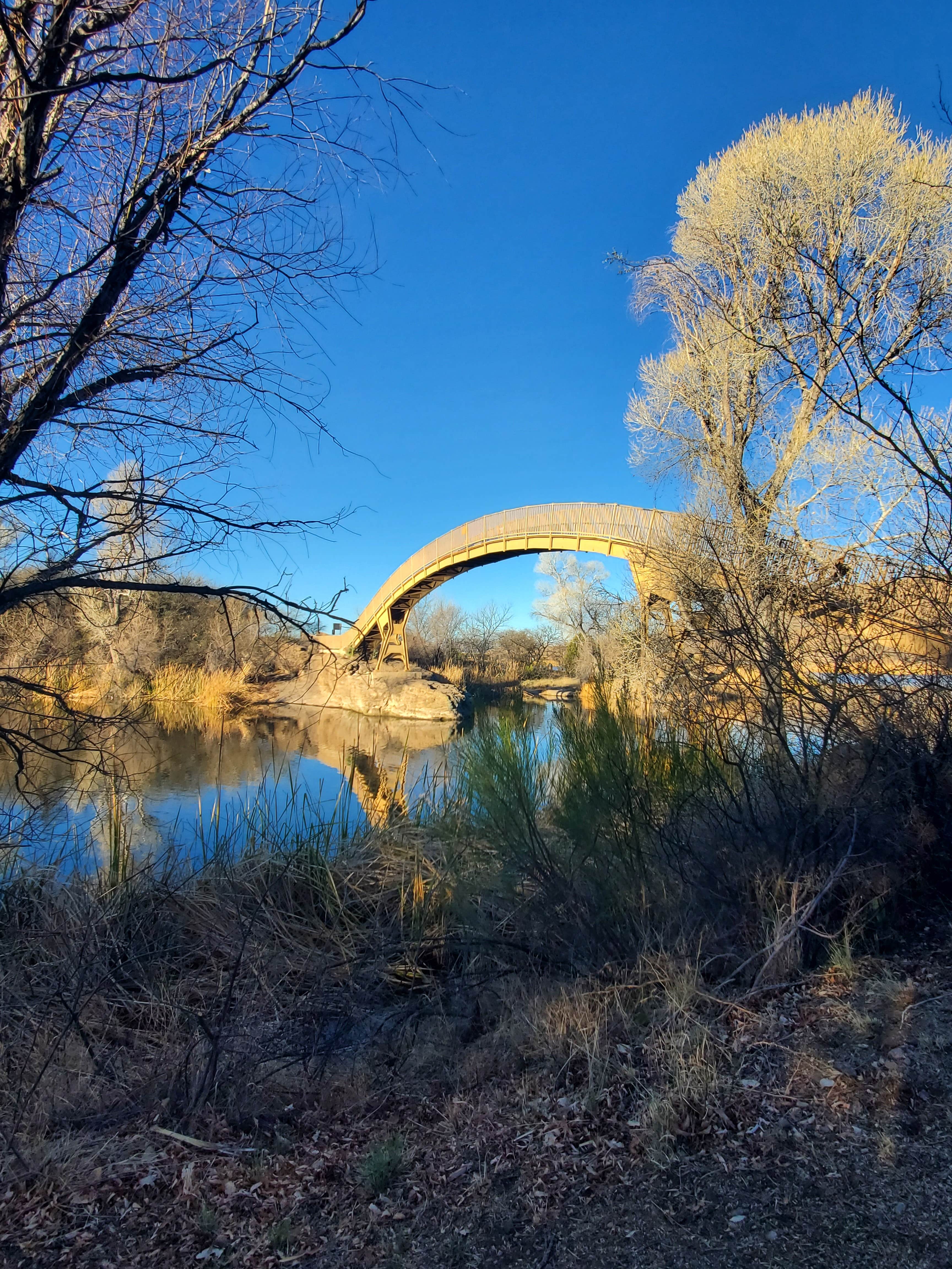 Camper-submitted photo at Patagonia Lake State Park Campground near Nogales, AZ
