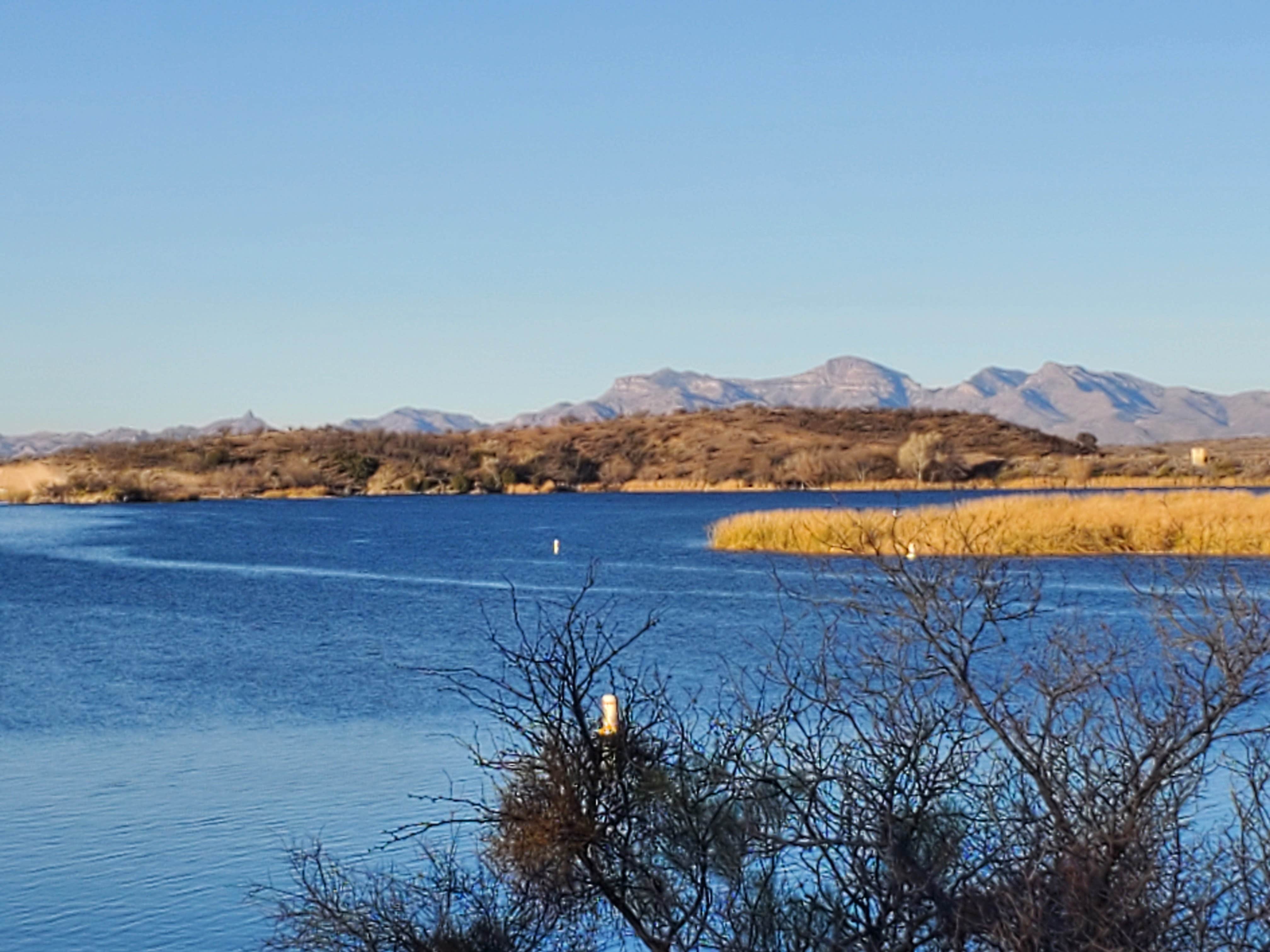 Camper-submitted photo at Patagonia Lake State Park Campground near Nogales, AZ
