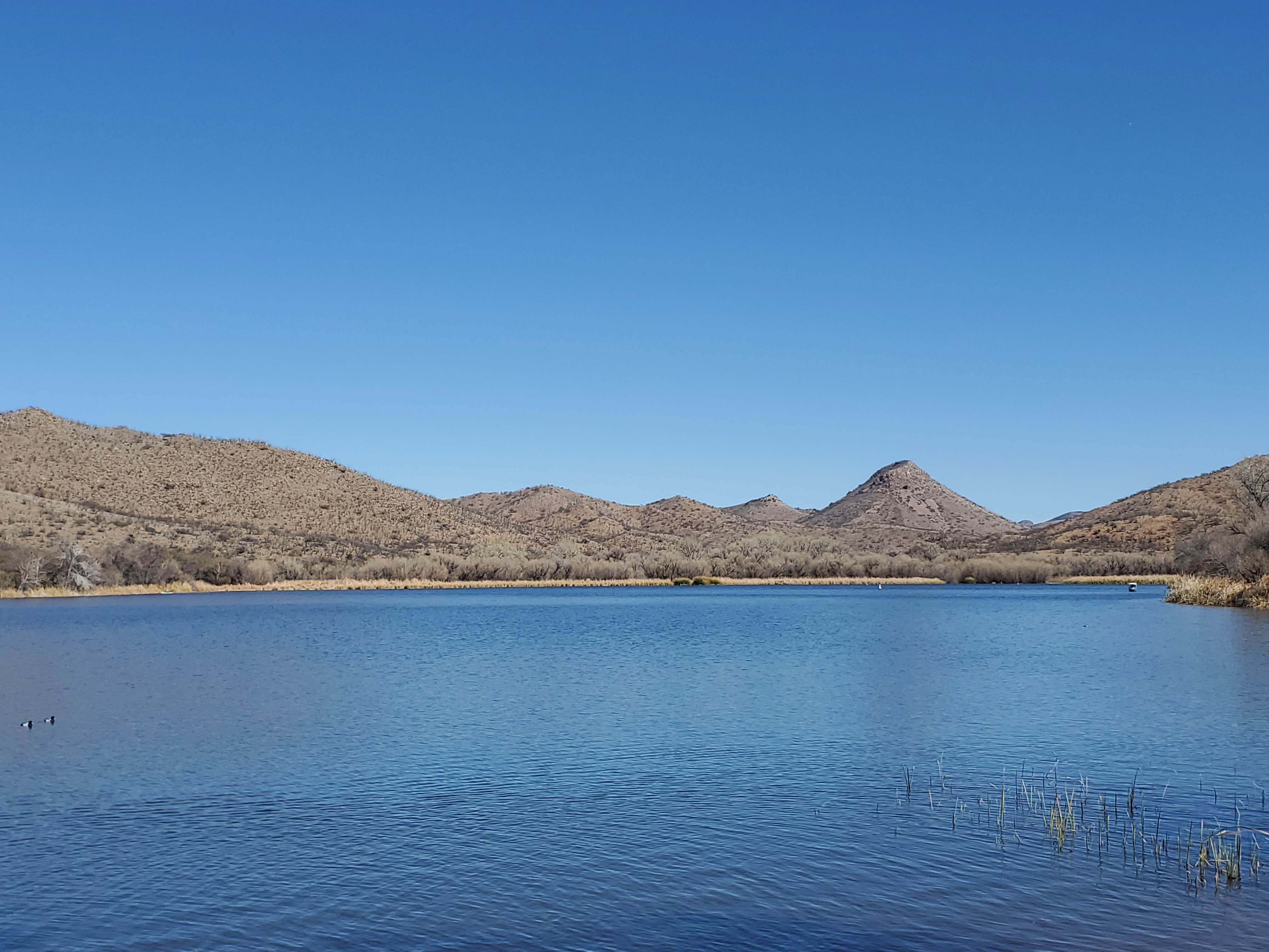 Camper-submitted photo at Patagonia Lake State Park Campground near Nogales, AZ