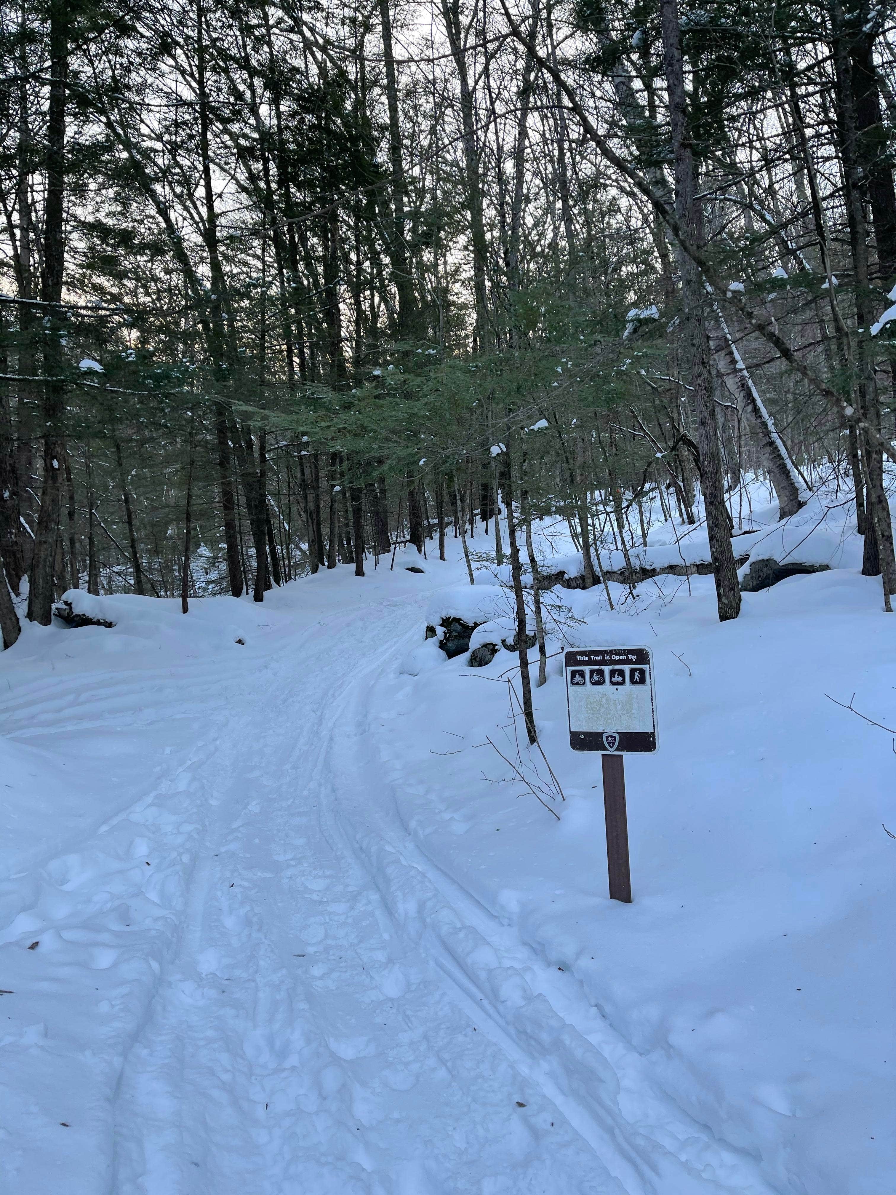 Camper-submitted photo at Beartown State Forest Campground near West Stockbridge, MA