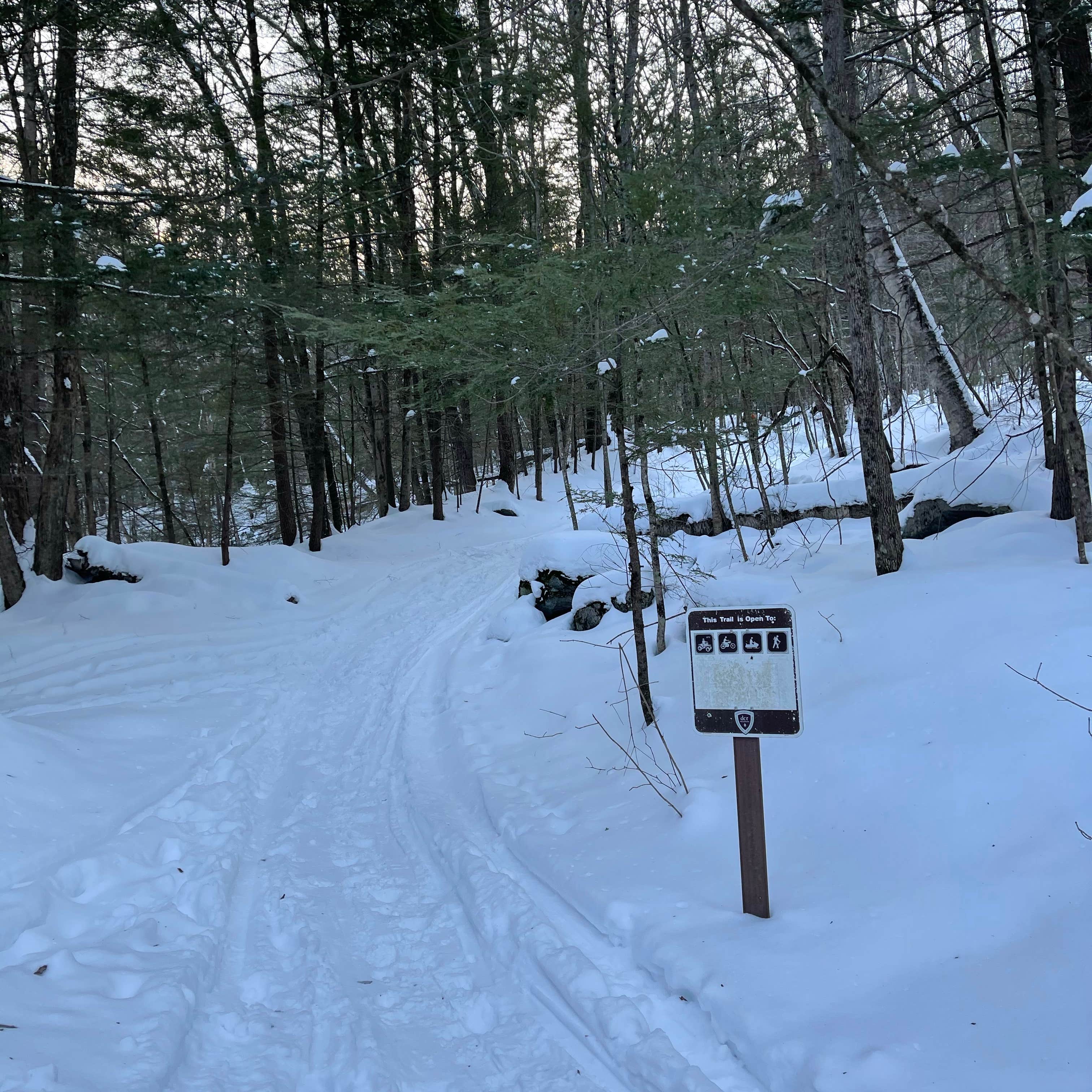 Escape to the Wild: Beartown State Forest, Massachusetts