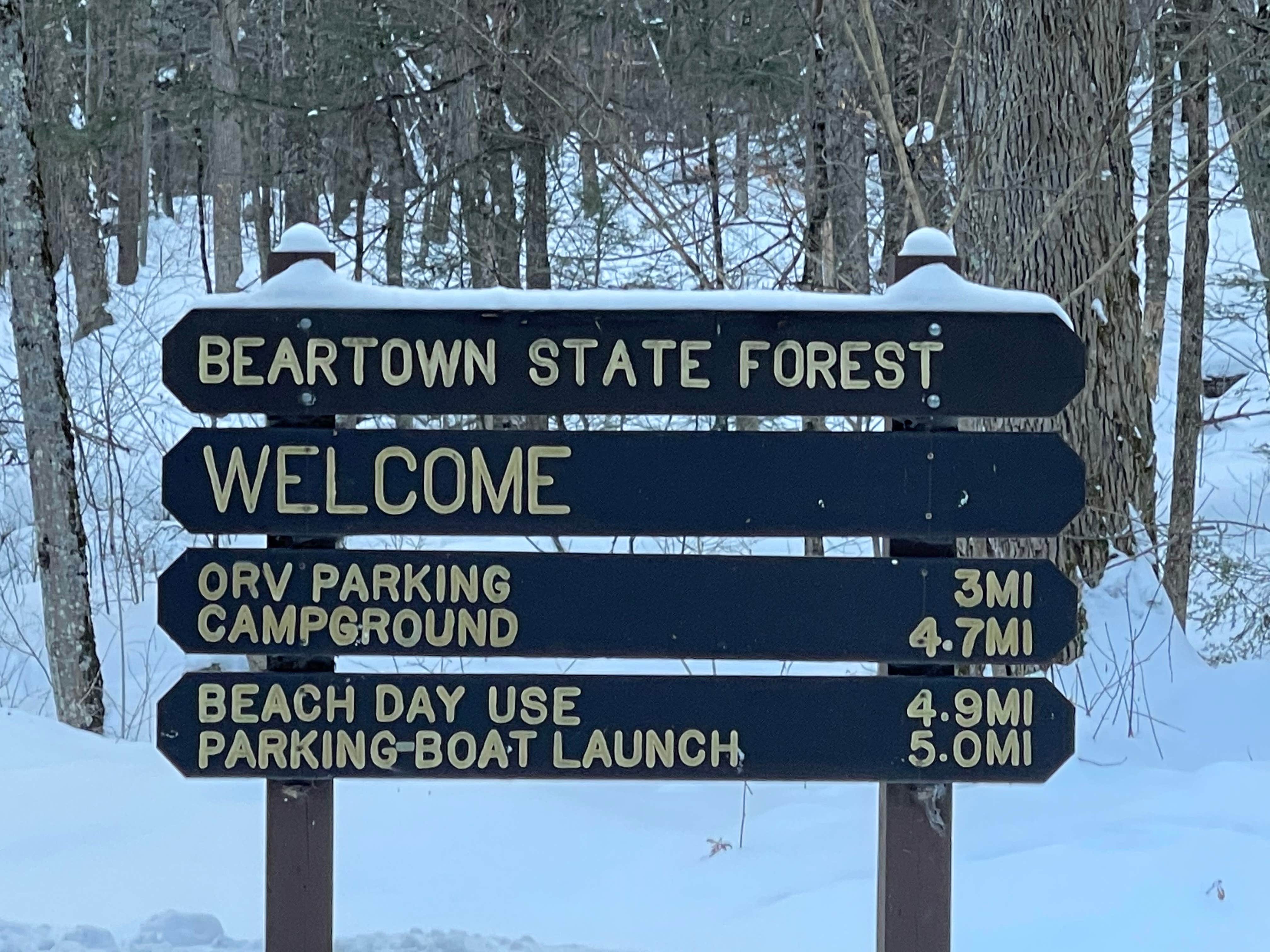 Camper-submitted photo at Beartown State Forest Campground near West Stockbridge, MA