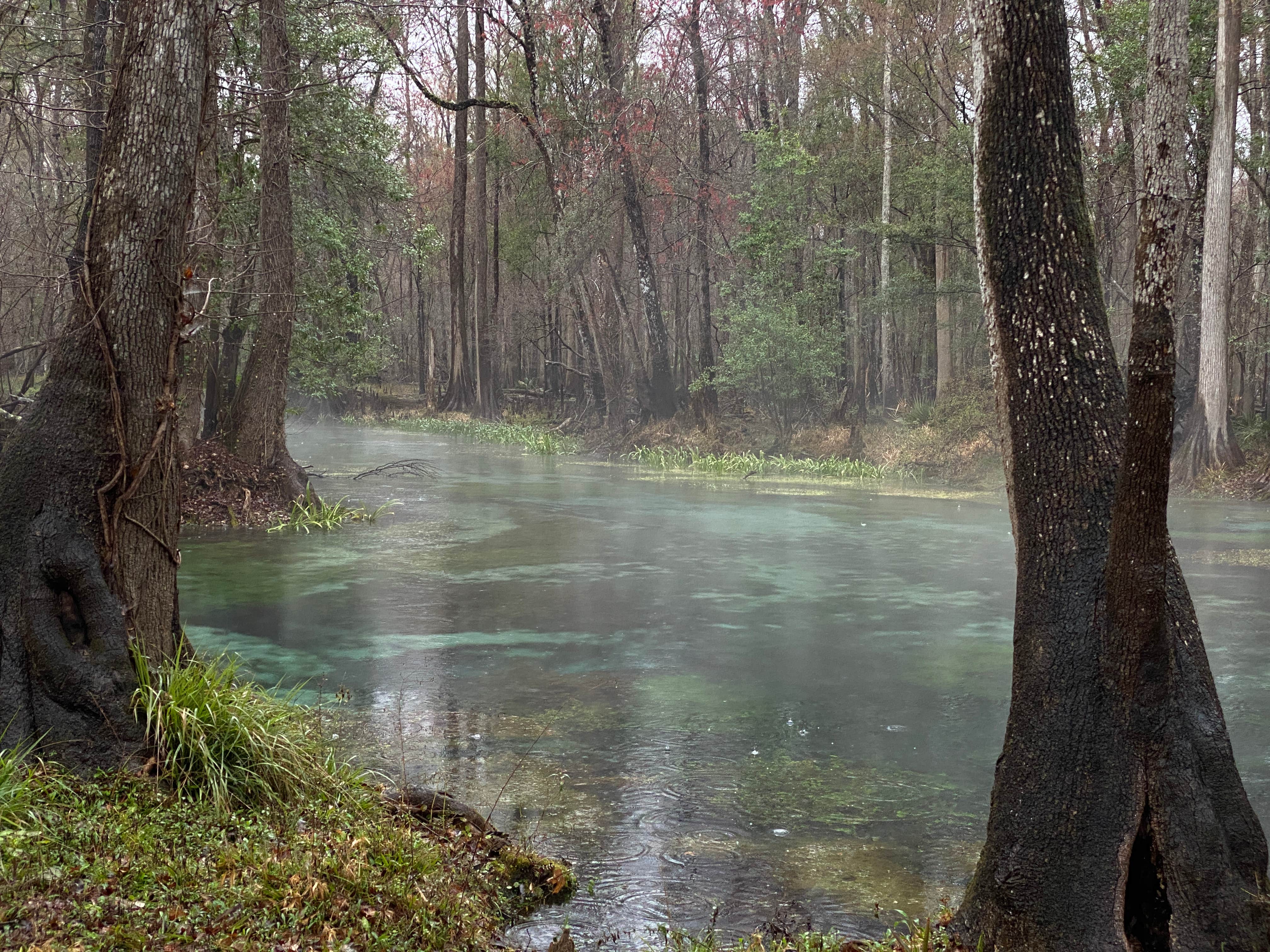 Camper-submitted photo at Gilchrist Blue Springs State Park Campground near Trenton, FL