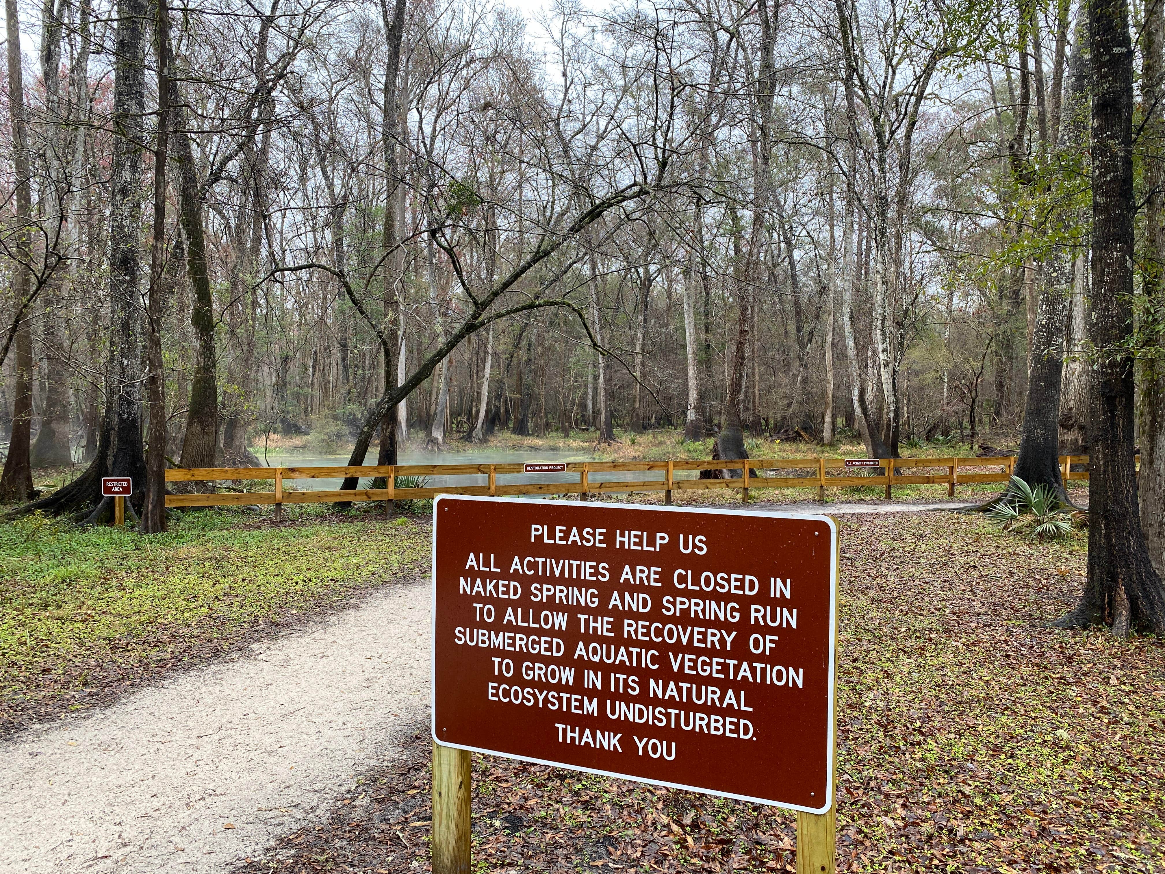 Camper-submitted photo at Gilchrist Blue Springs State Park Campground near Trenton, FL