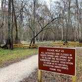 Review photo of Gilchrist Blue Springs State Park Campground by Perry J., February 12, 2021
