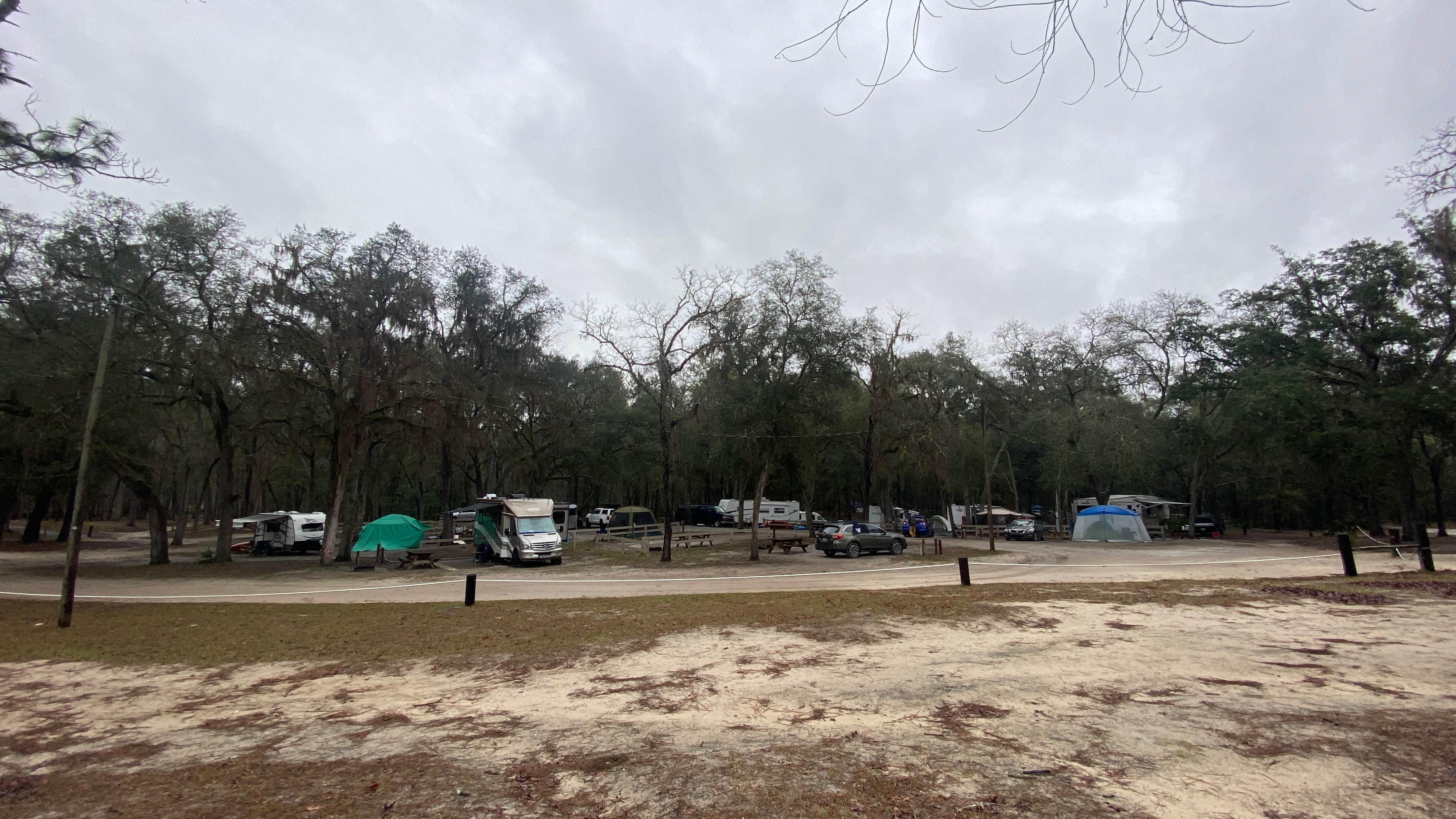 Camper-submitted photo at Gilchrist Blue Springs State Park Campground near Trenton, FL