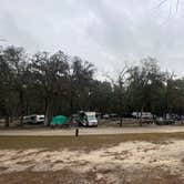 Review photo of Gilchrist Blue Springs State Park Campground by Perry J., February 12, 2021