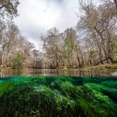 Review photo of Gilchrist Blue Springs State Park Campground by Perry J., February 12, 2021