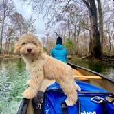 Review photo of Gilchrist Blue Springs State Park Campground by Perry J., February 12, 2021