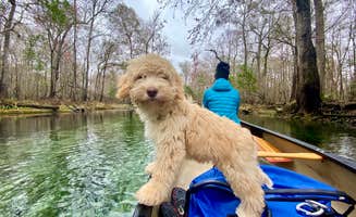 Perry J.'s photo of camping with pets at Ruth B. Kirby Gilchrist Blue Springs State Park Campground near Fanning Springs, FL