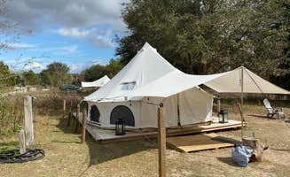 Perry J.'s photo at Lake Louisa State Park Campground near Polk City, FL