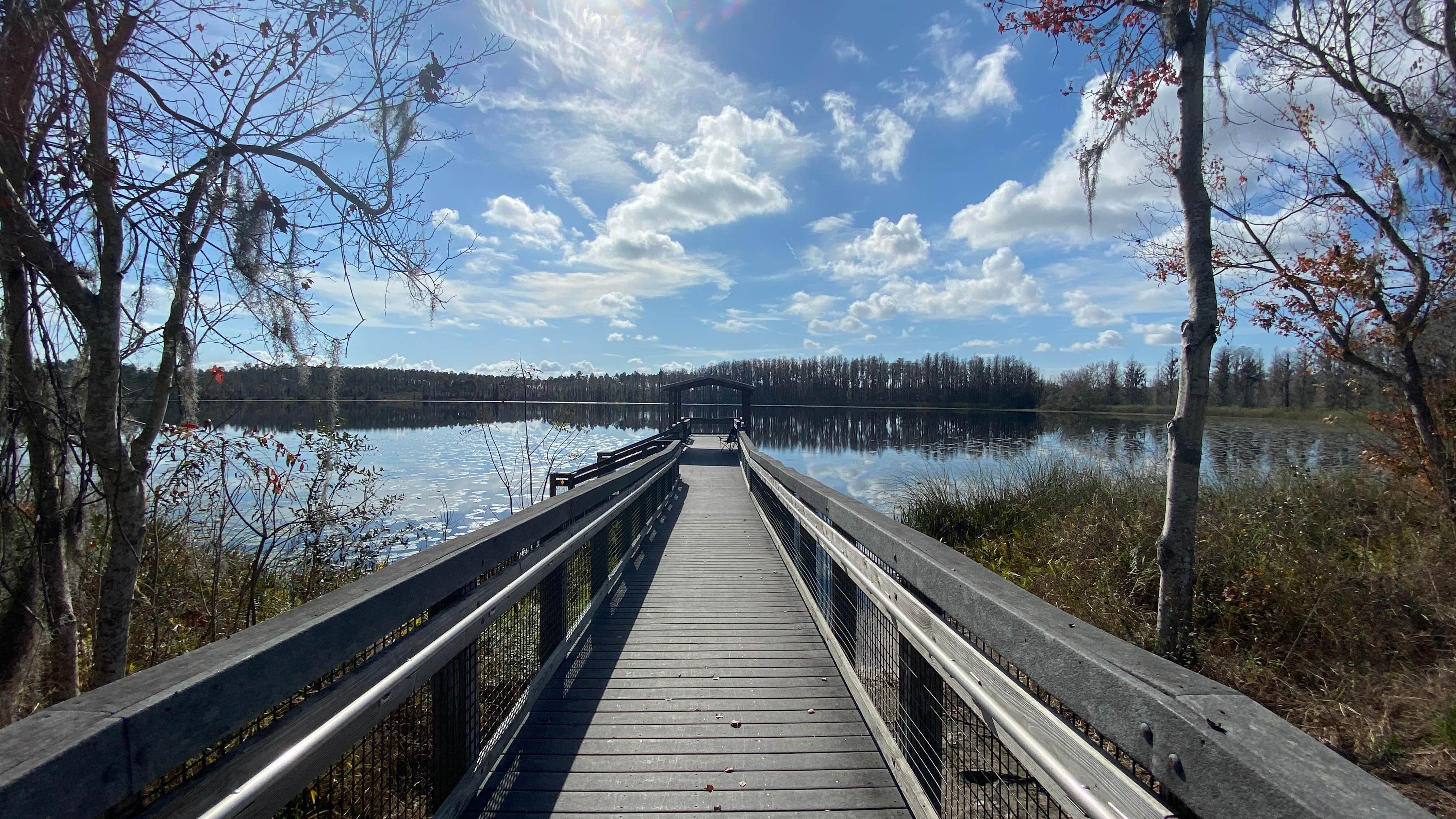 Camper-submitted photo at Lake Louisa State Park Campground near Windermere, FL