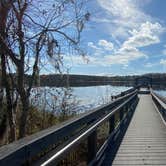 Review photo of Lake Louisa State Park Campground by Perry J., February 12, 2021