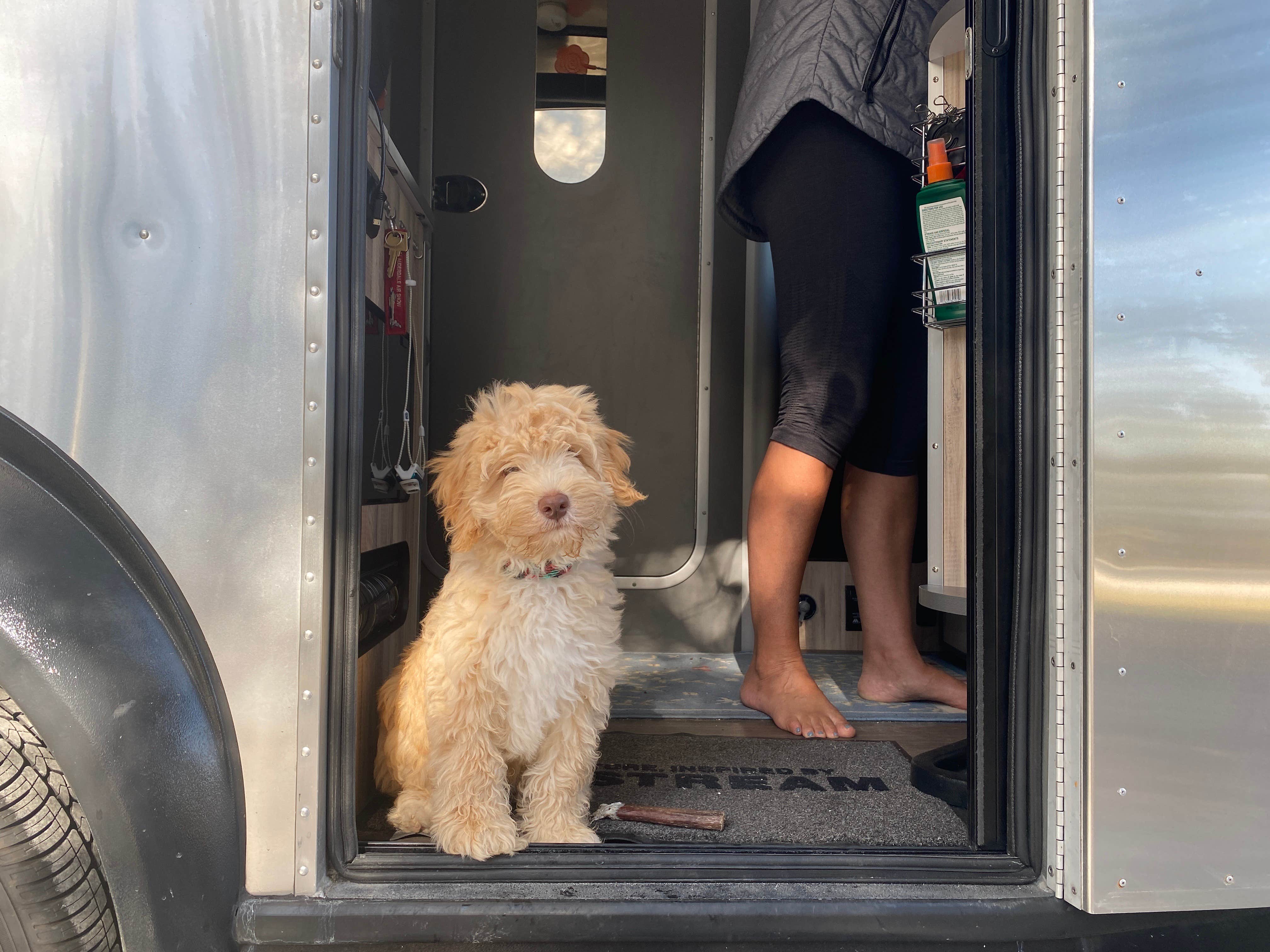Perry J.'s photo of camping with pets at Lake Louisa State Park Campground near Orlando, FL