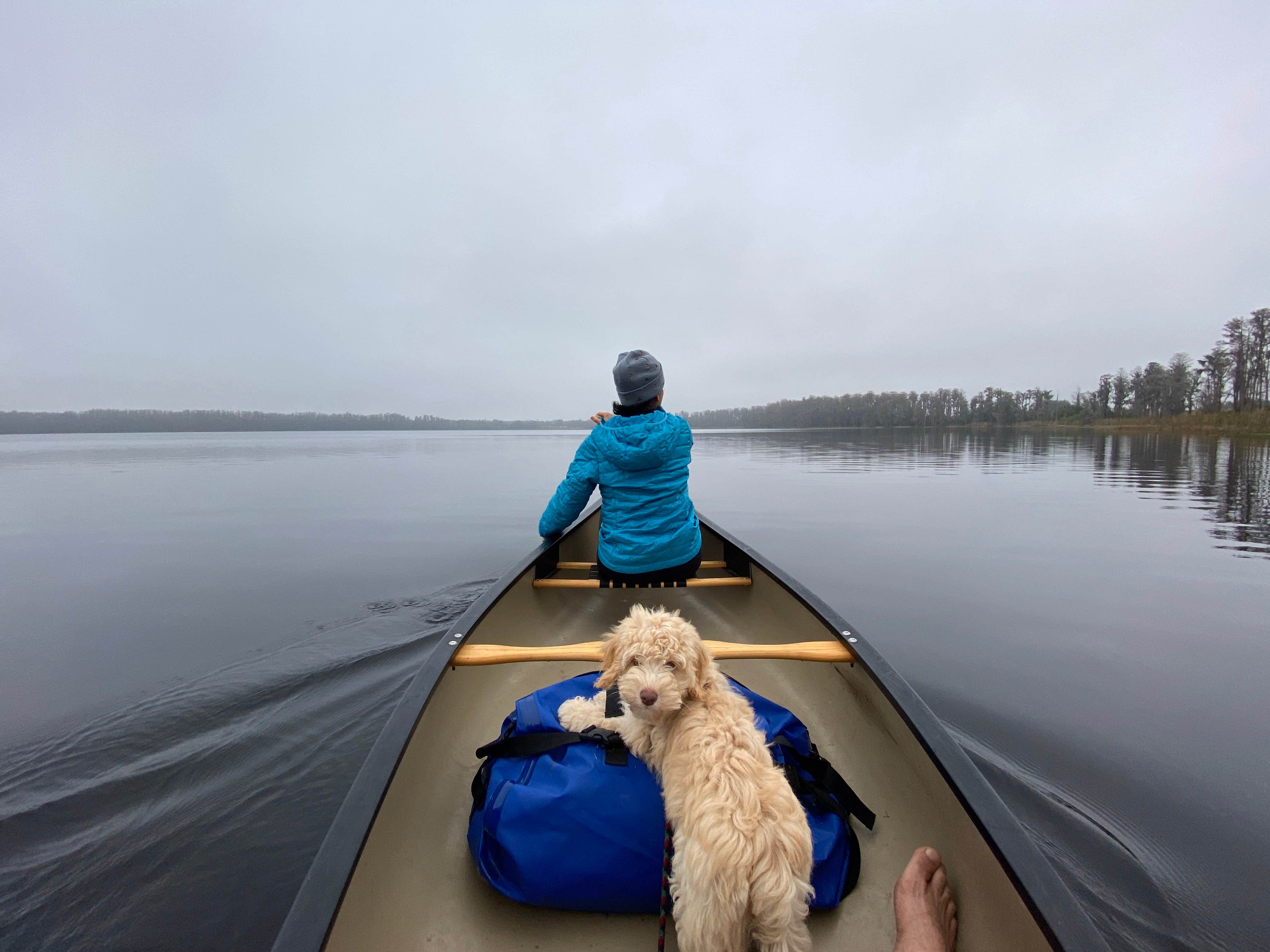 Perry J.'s photo of camping with pets at Lake Louisa State Park Campground near Windermere, FL