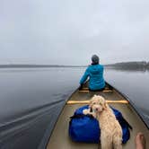 Review photo of Lake Louisa State Park Campground by Perry J., February 12, 2021