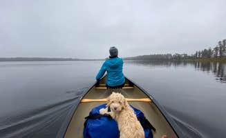 Perry J.'s photo of camping with pets at Lake Louisa State Park Campground near Windermere, FL