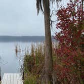 Review photo of Lake Louisa State Park Campground by Perry J., February 12, 2021