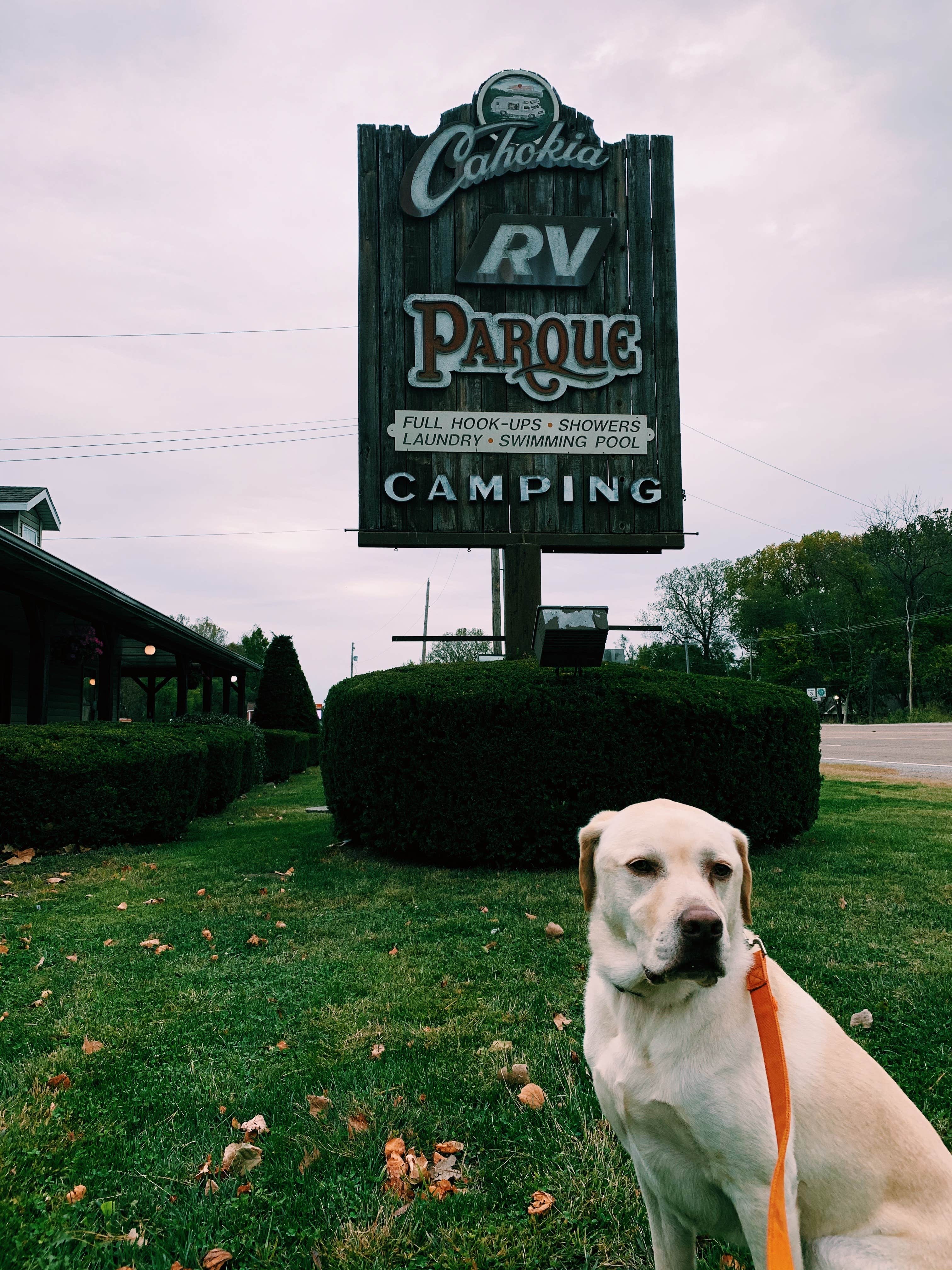 se permiten perros en los parques estatales de missouri stzte park campgrounds