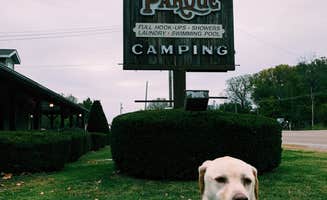 Carlyne F.'s photo of camping with pets at Cahokia RV Parque near Alton, IL
