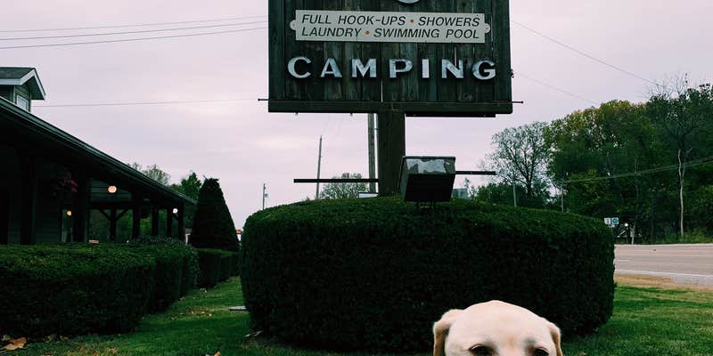 Camper submitted image from Cahokia RV Parque